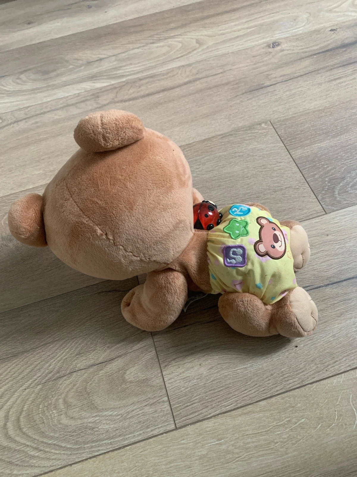 Ourson automate – photo 3